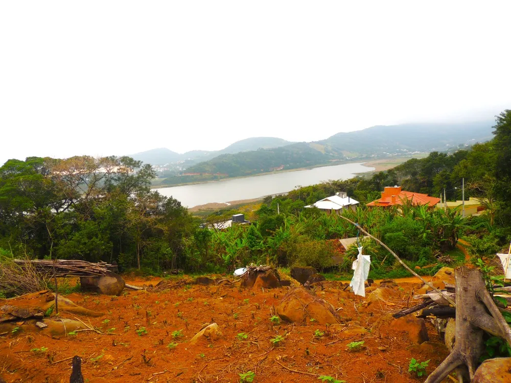Terreno, 5 hectares - Foto 13