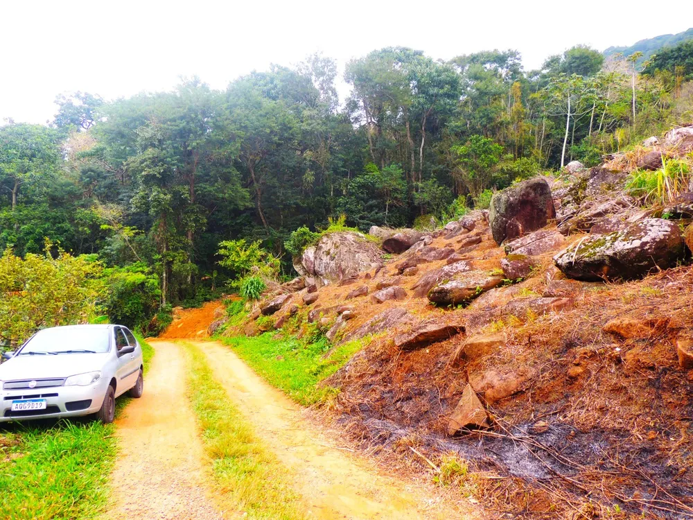 Terreno, 5 hectares - Foto 8
