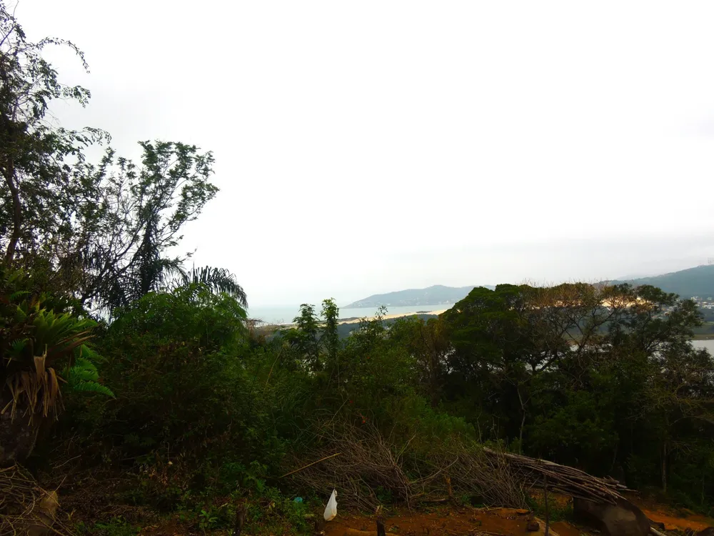 Terreno, 5 hectares - Foto 11