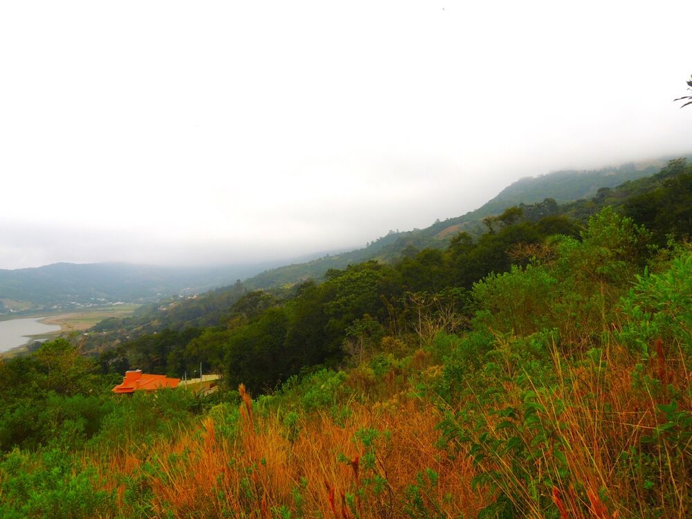 Terreno, 5 hectares - Foto 1