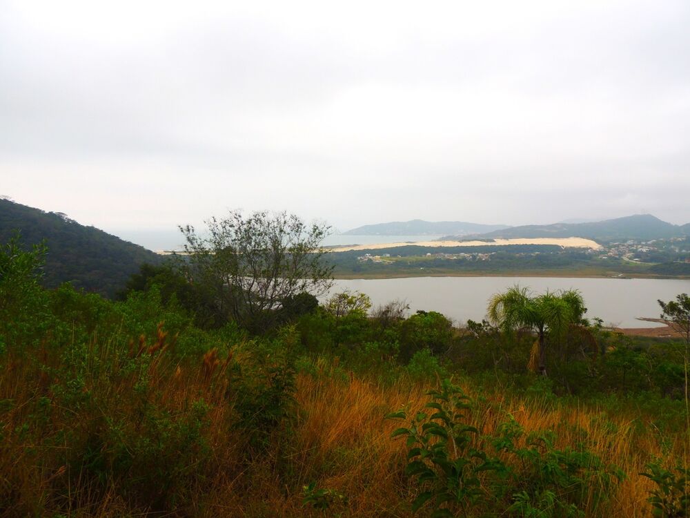 Terreno, 5 hectares - Foto 4