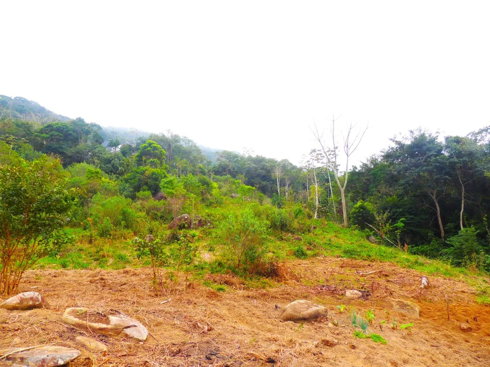Terreno, 5 hectares - Foto 9