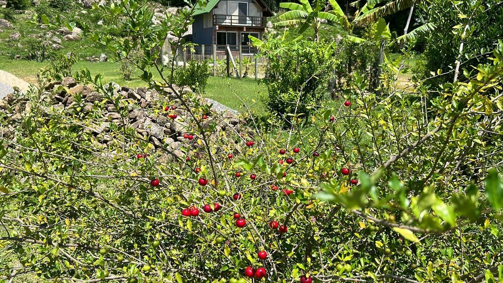 Terreno, 3250 m² - Foto 2