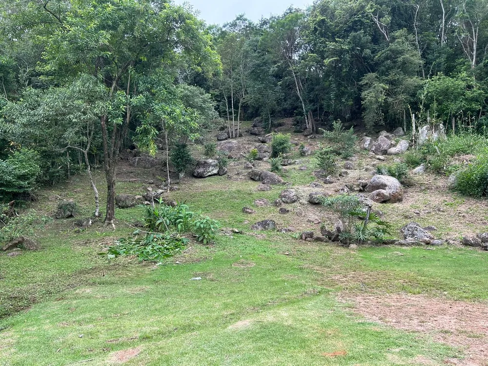 Terreno, 3250 m² - Foto 6