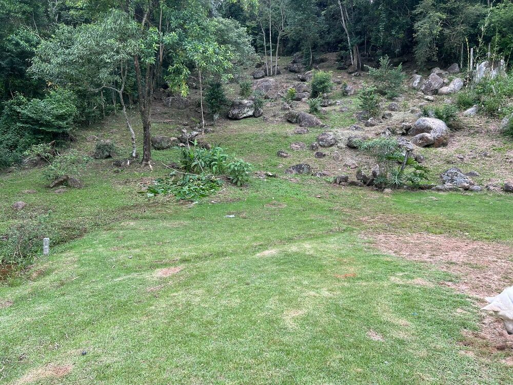 Terreno, 3250 m² - Foto 4