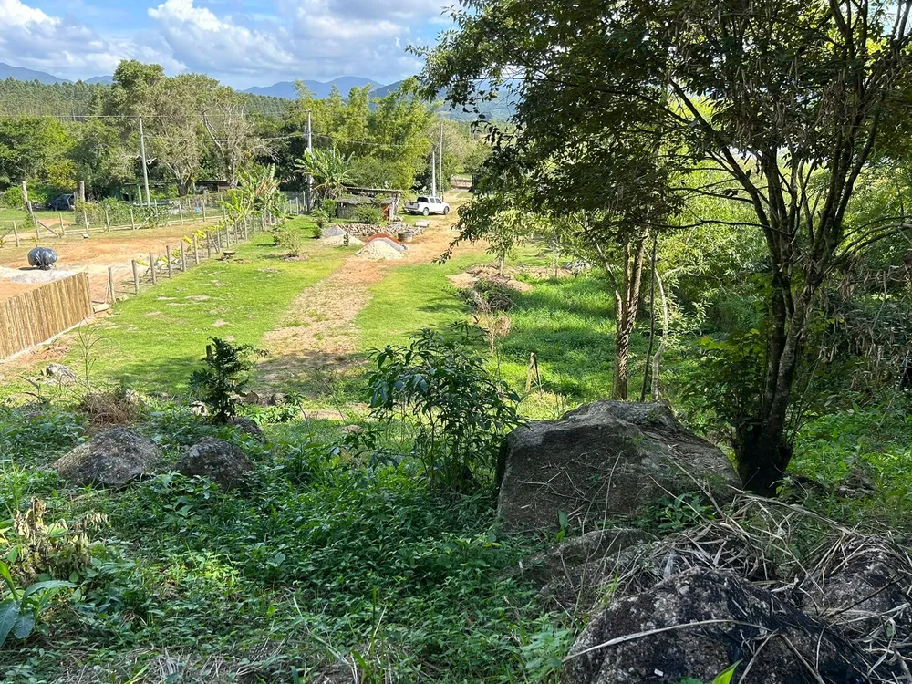 Terreno, 3250 m² - Foto 5