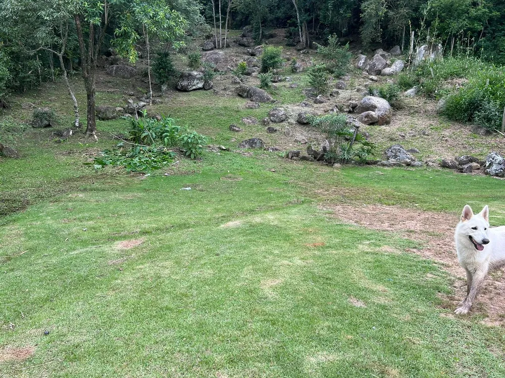Terreno, 3250 m² - Foto 9