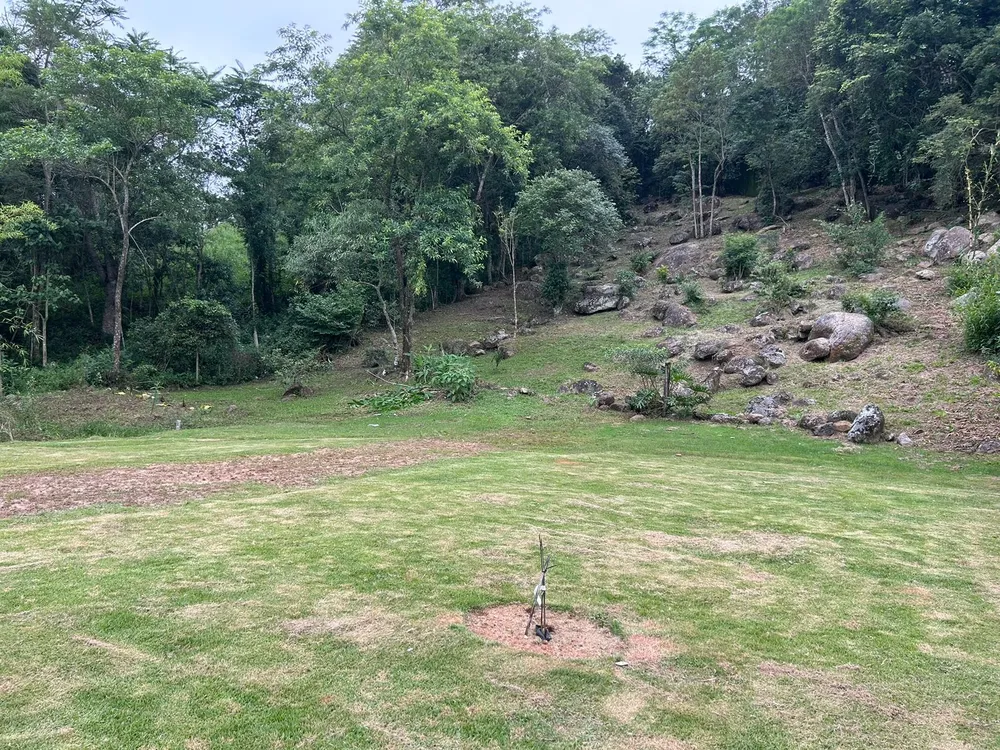 Terreno, 3250 m² - Foto 7