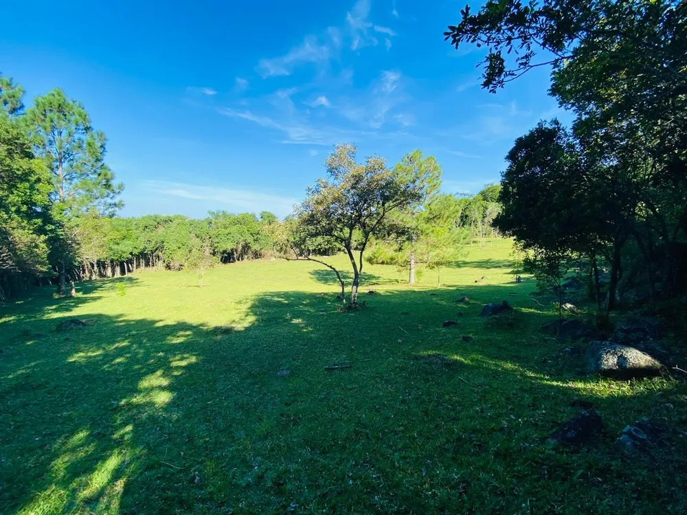 Terreno, 2 hectares - Foto 9
