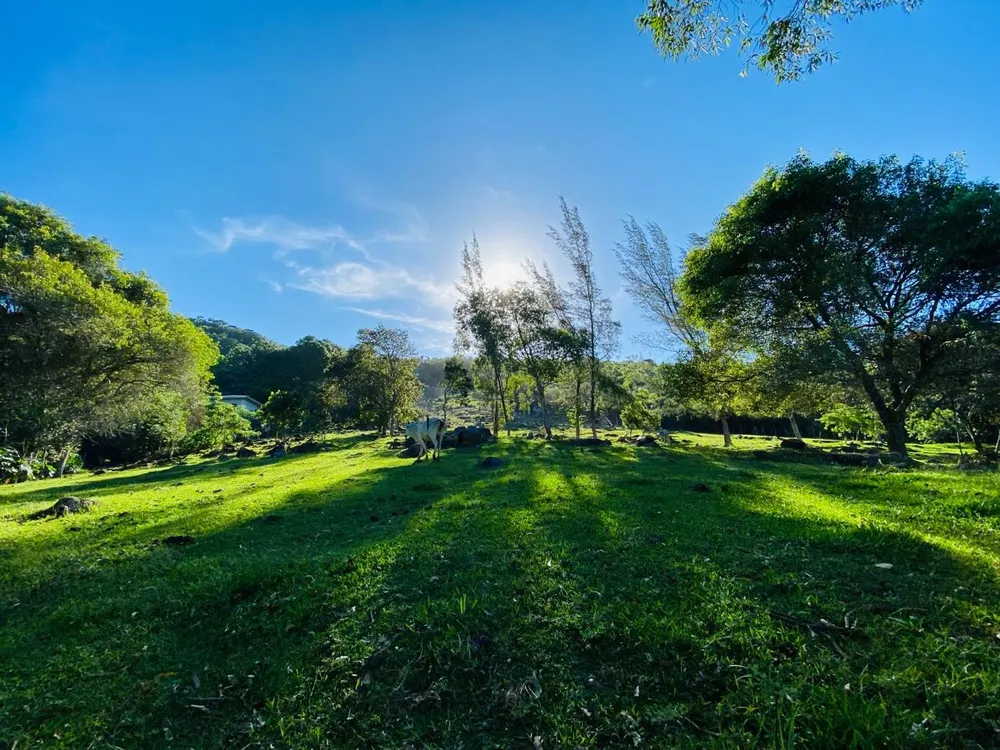 Terreno, 2 hectares - Foto 12