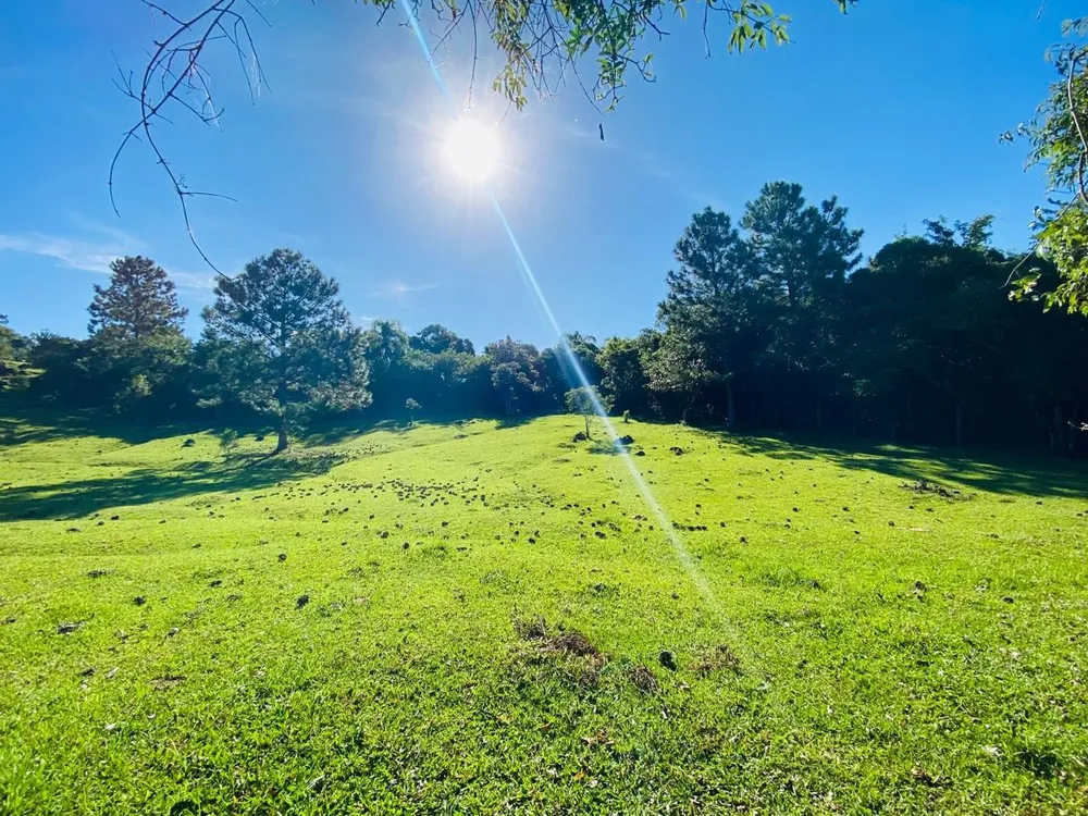Terreno, 2 hectares - Foto 8