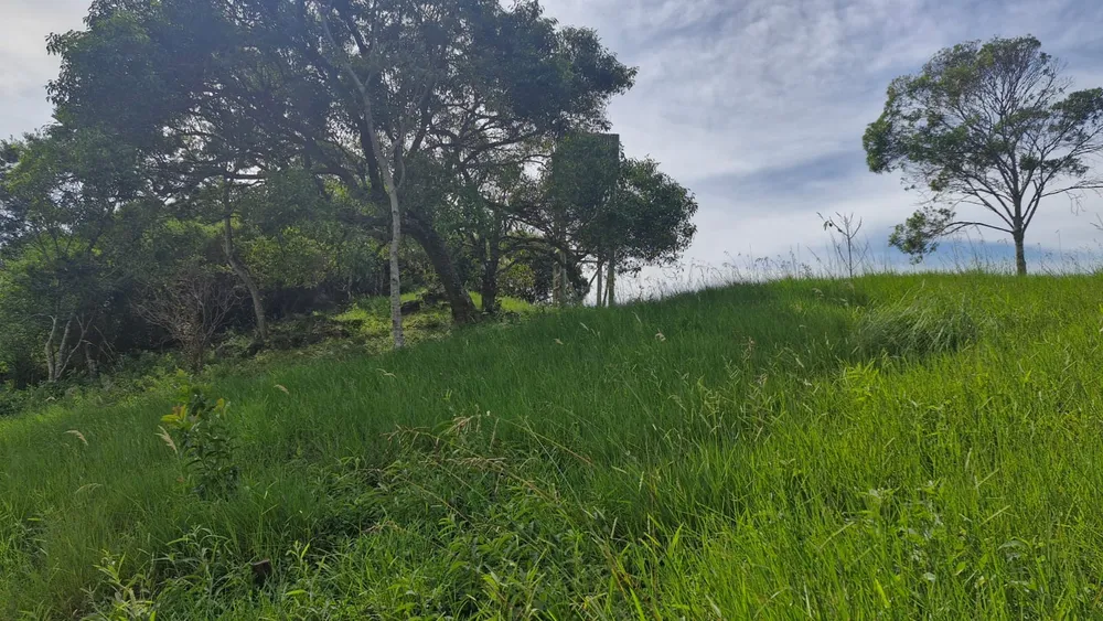 Terreno, 800 m² - Foto 8
