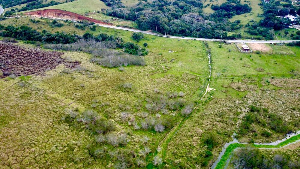 Terreno, 5 hectares - Foto 3