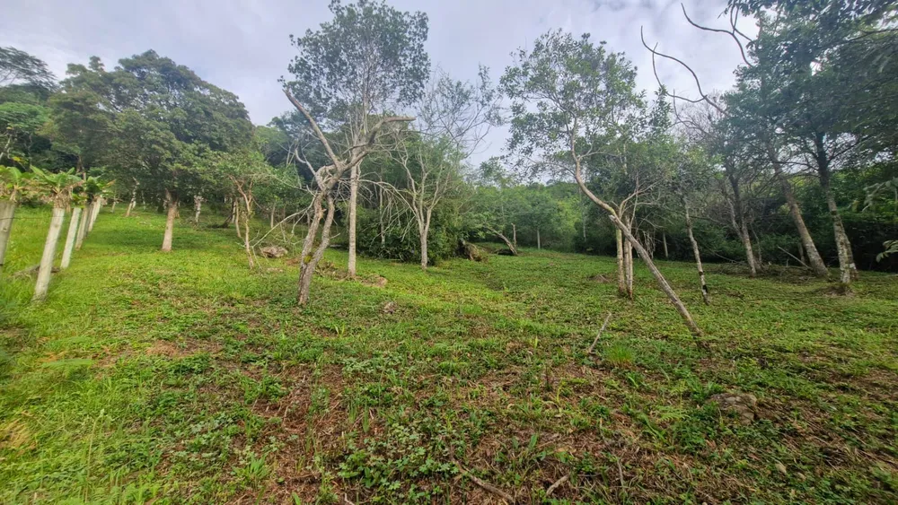 Terreno, 3554 m² - Foto 5