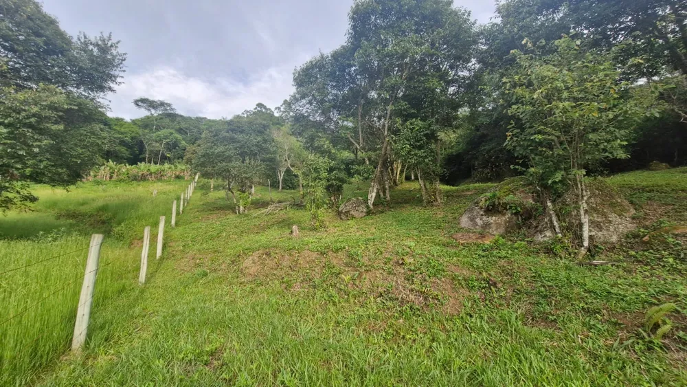Terreno, 3554 m² - Foto 6