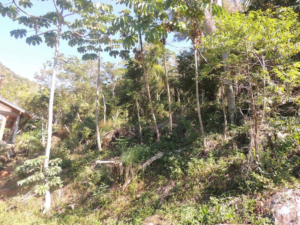 Terreno, 973 m² - Foto 9