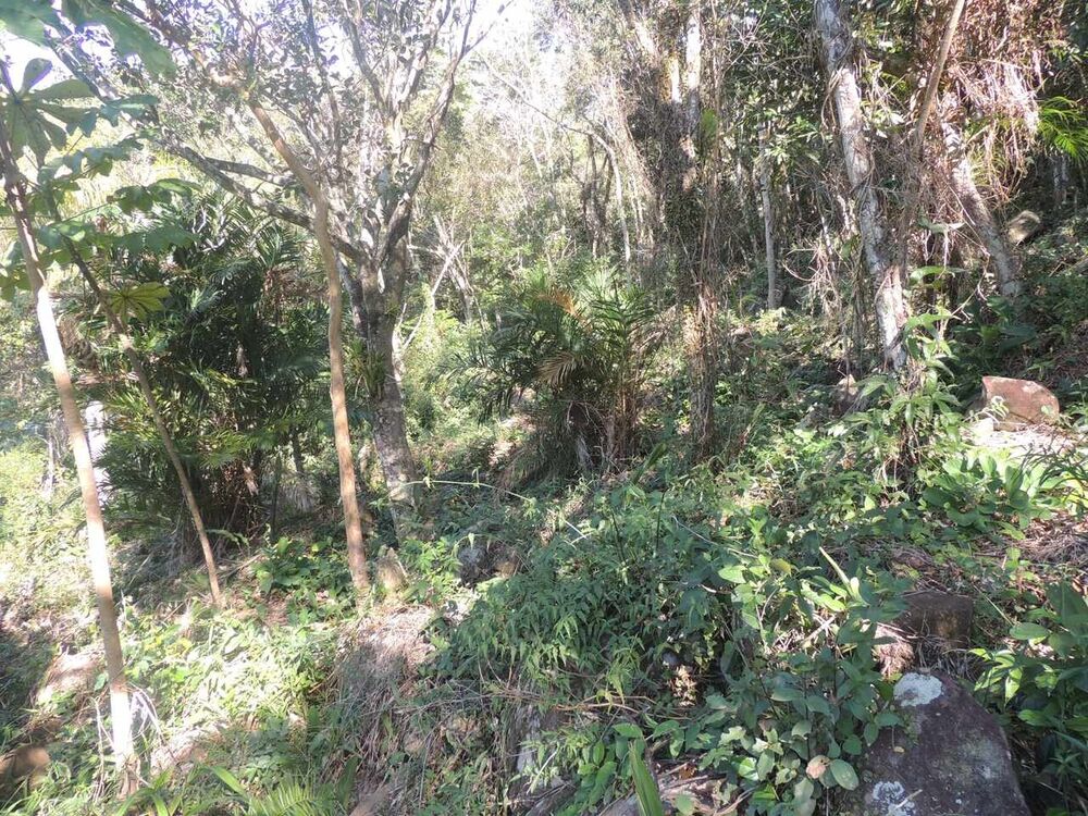 Terreno, 973 m² - Foto 12