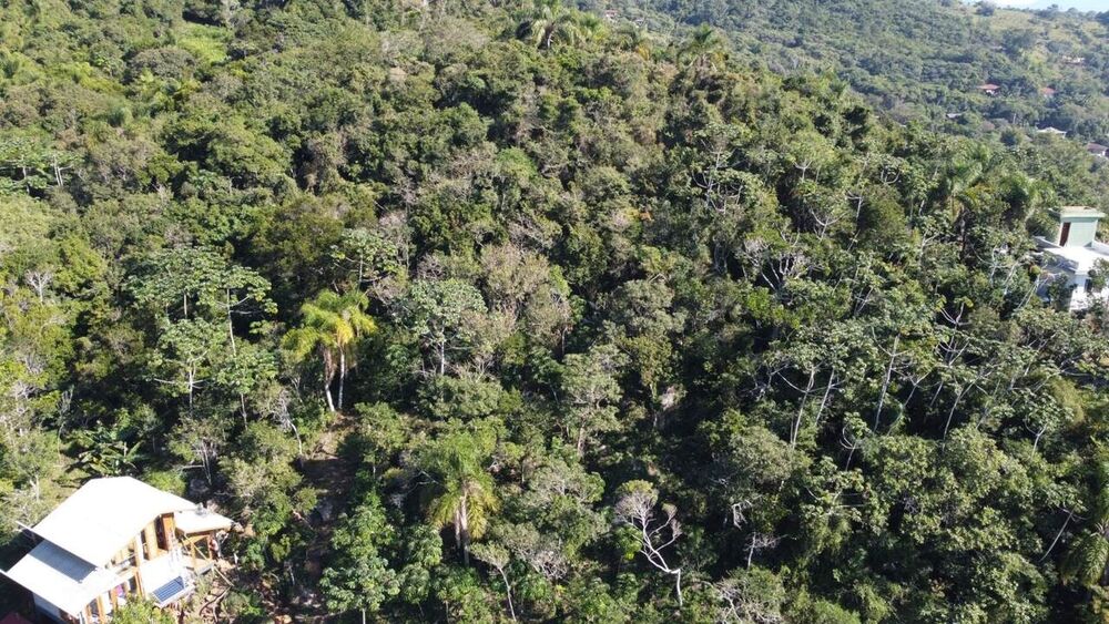 Terreno, 973 m² - Foto 15