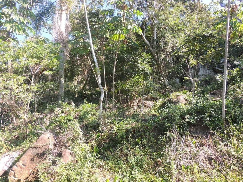 Terreno, 973 m² - Foto 10