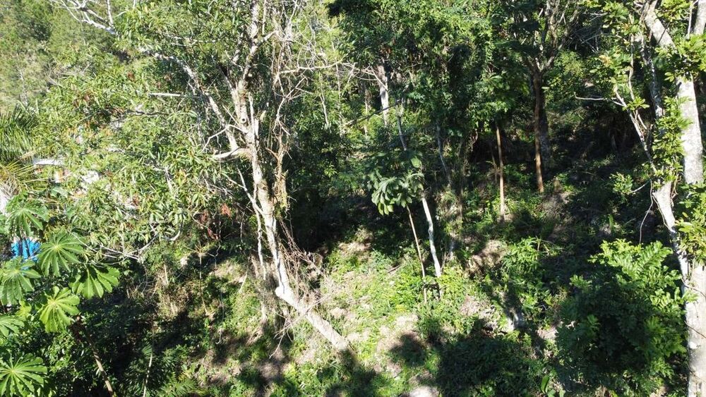 Terreno, 973 m² - Foto 14