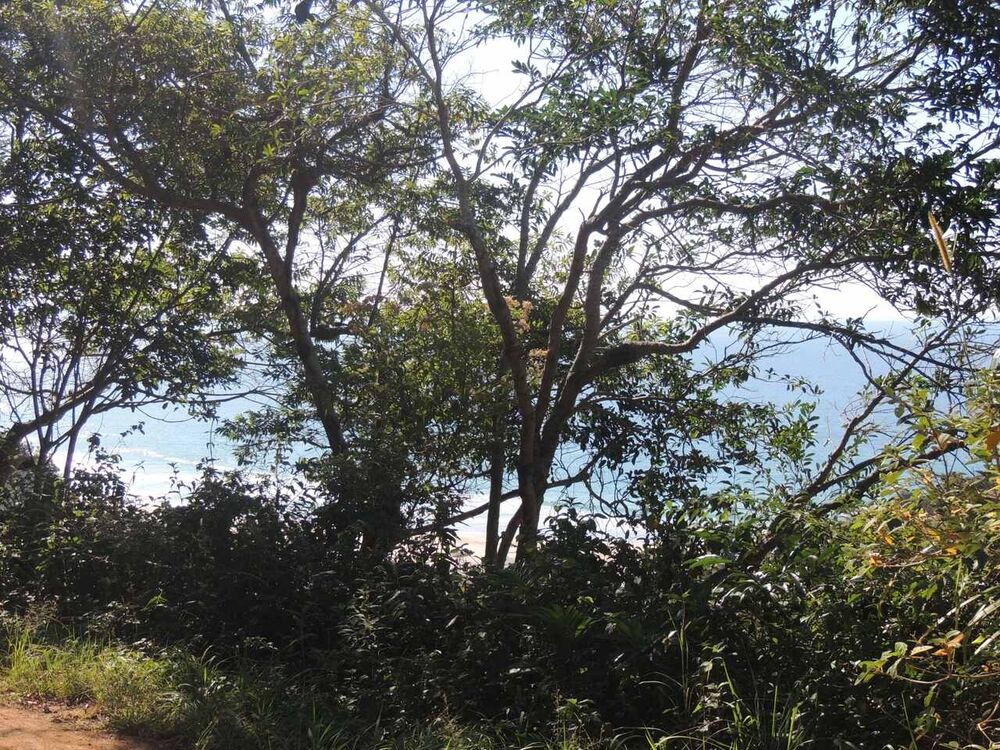 Terreno, 973 m² - Foto 4