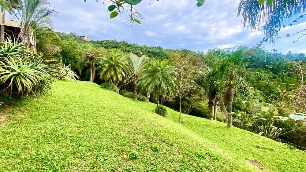 Casa à venda com 3 quartos, 350m² - Foto 4