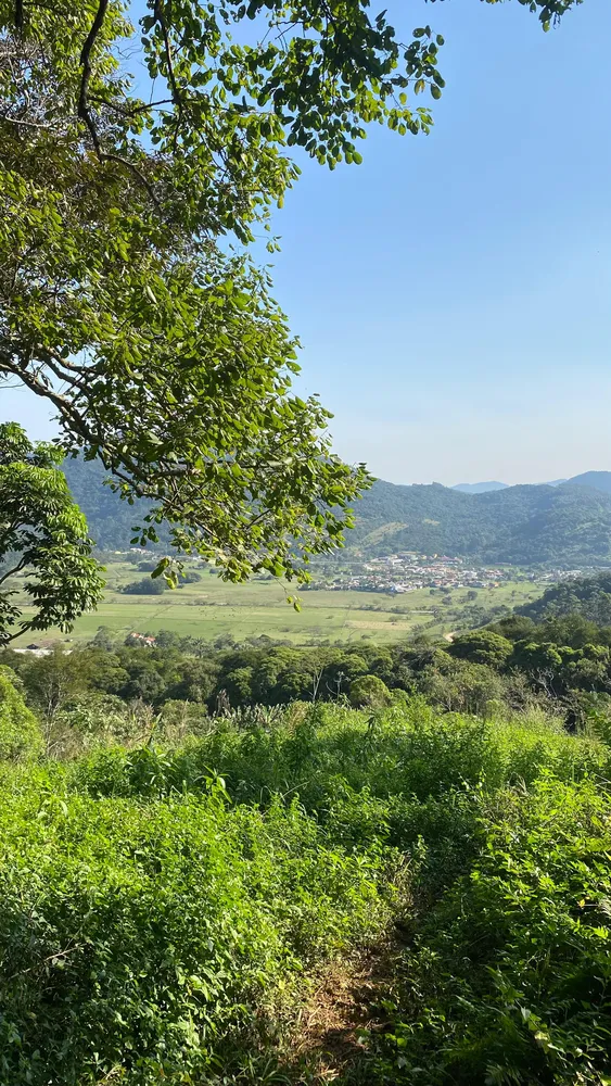 Terreno, 17 hectares - Foto 4