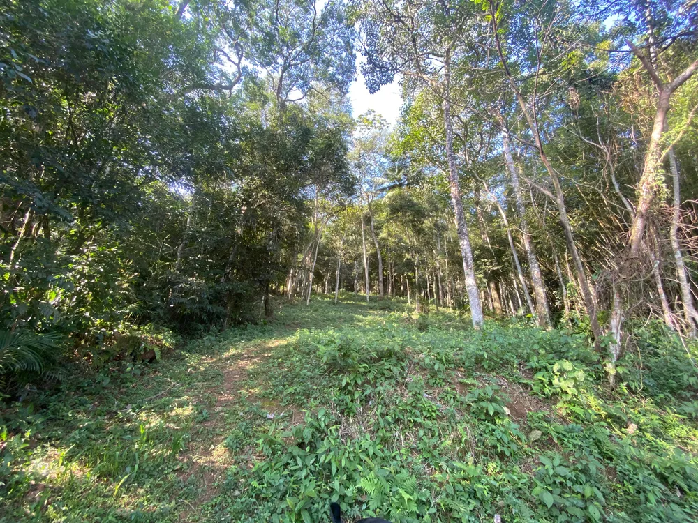 Terreno, 17 hectares - Foto 12