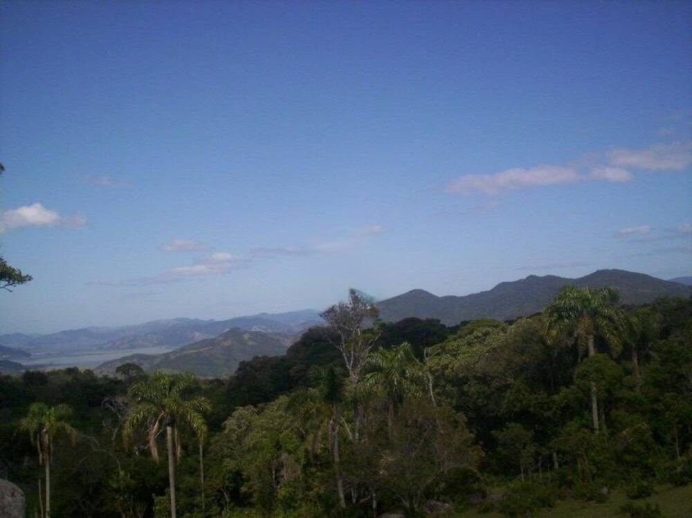 Terreno, 17 hectares - Foto 11