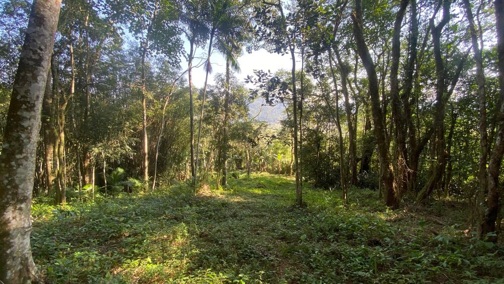 Terreno, 17 hectares - Foto 6