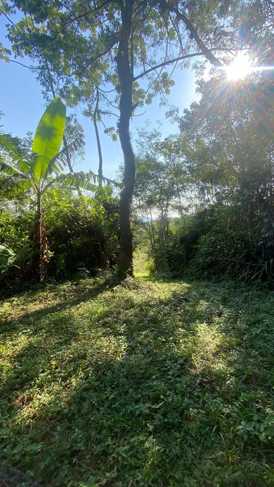 Terreno, 17 hectares - Foto 7
