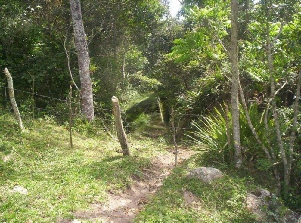 Terreno, 17 hectares - Foto 10