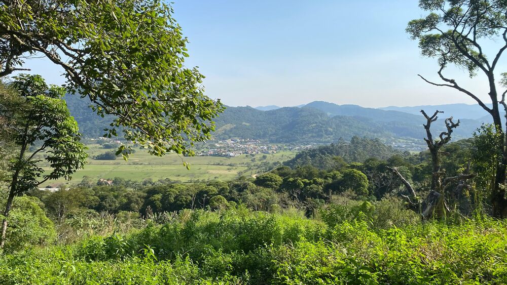 Terreno, 17 hectares - Foto 1