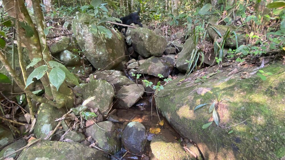 Terreno, 17 hectares - Foto 8