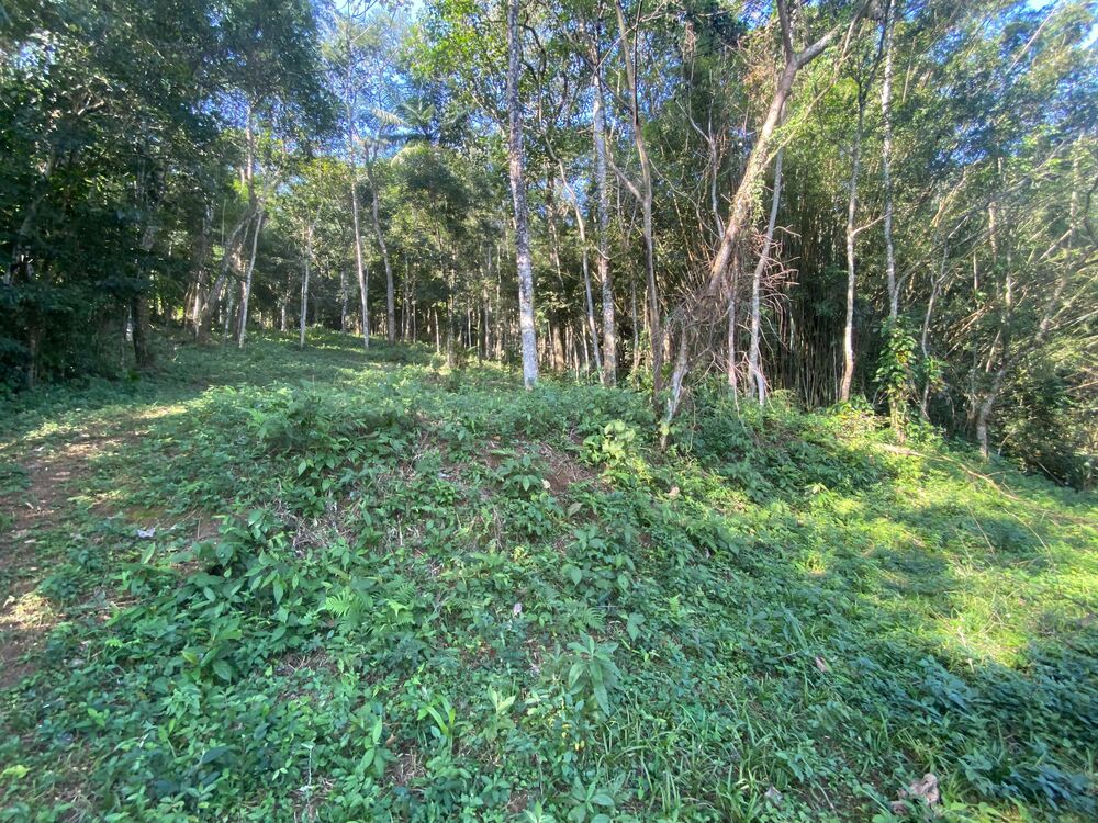 Terreno, 17 hectares - Foto 7