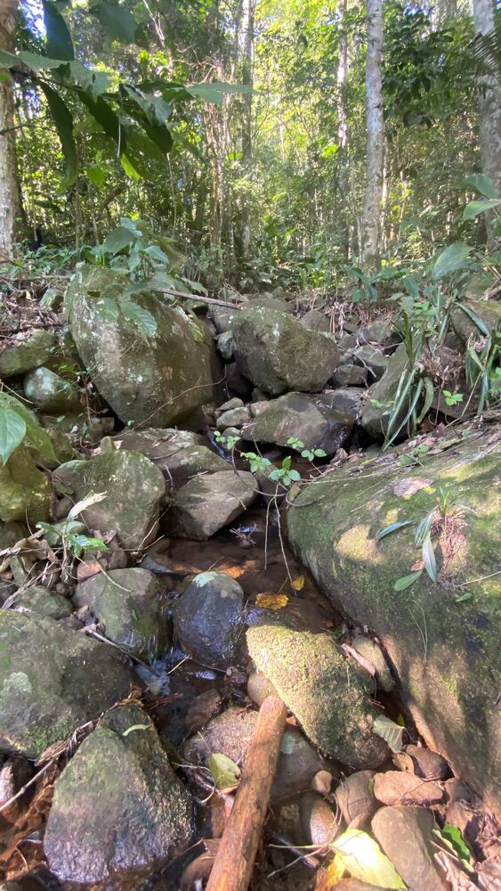 Terreno, 17 hectares - Foto 9