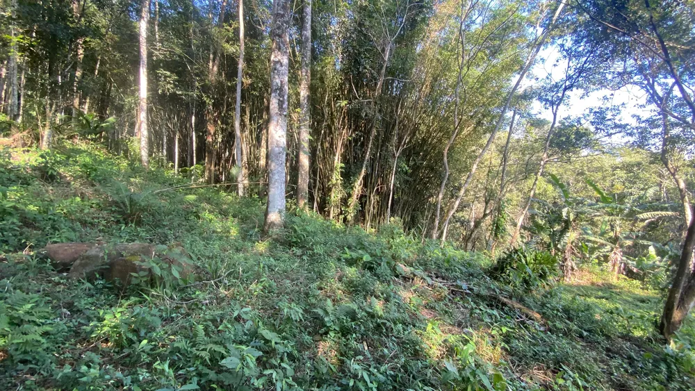 Terreno, 17 hectares - Foto 13