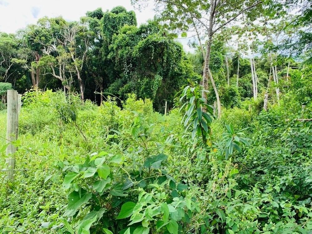 Terreno, 547 m² - Foto 3