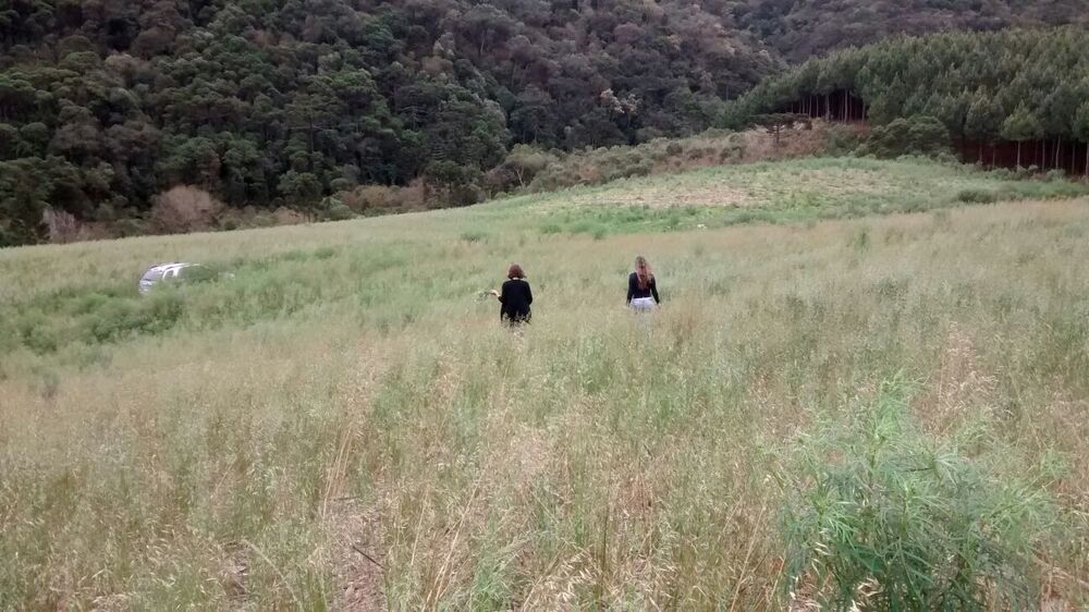 Terreno, 13 hectares - Foto 2