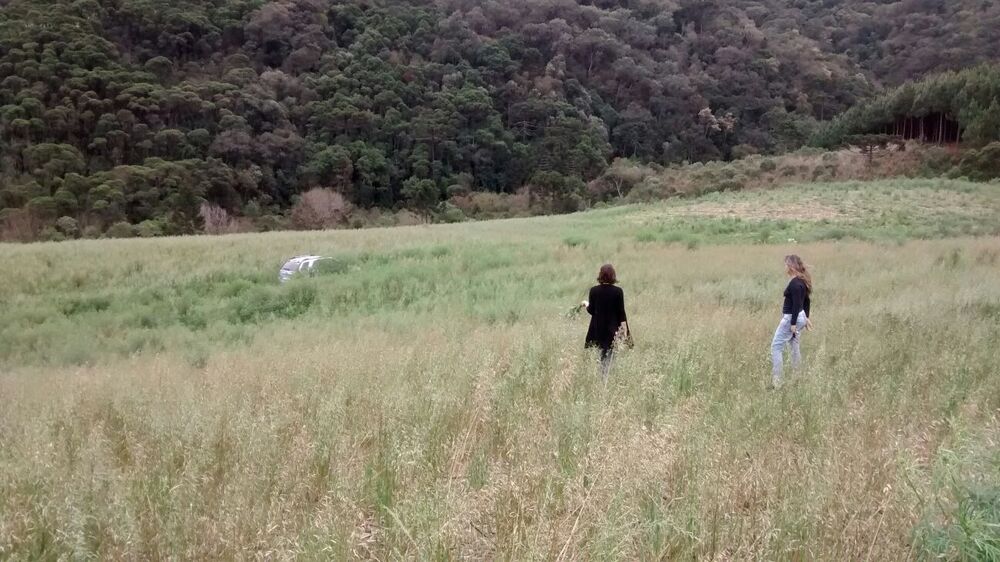 Terreno, 13 hectares - Foto 3