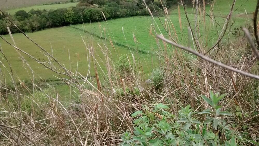 Terreno, 13 hectares - Foto 4