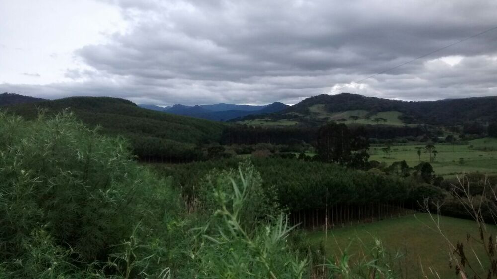 Terreno, 13 hectares - Foto 6