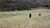 Terreno, 13 hectares - Foto 3