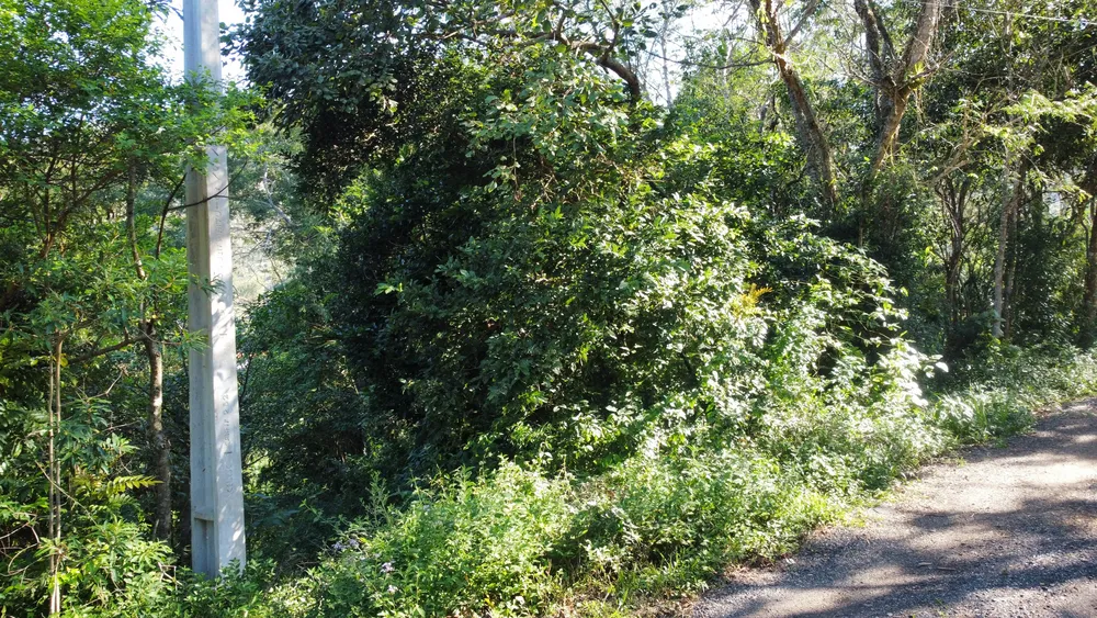 Terreno, 700 m² - Foto 7
