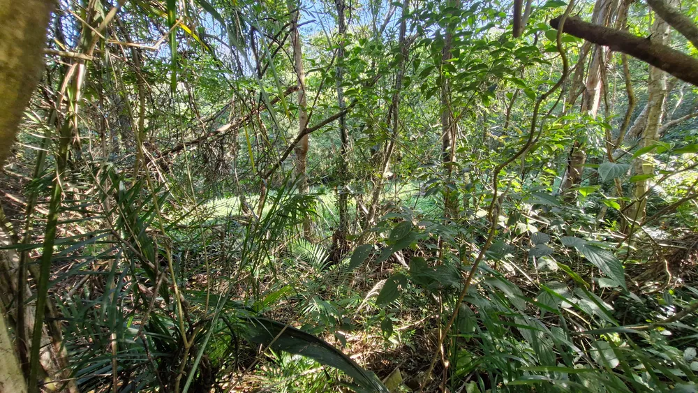 Terreno, 700 m² - Foto 11
