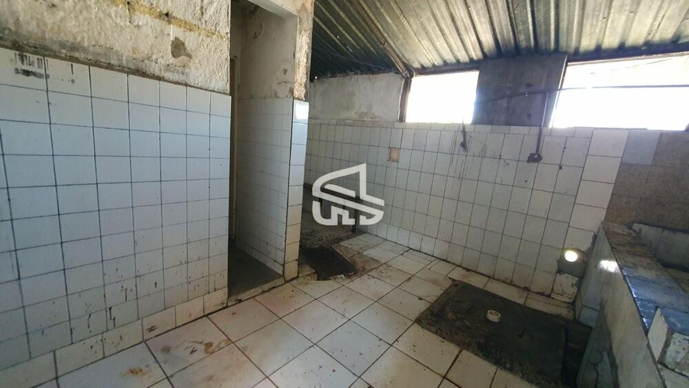 Depósito-Galpão, 2390 m² - Foto 16