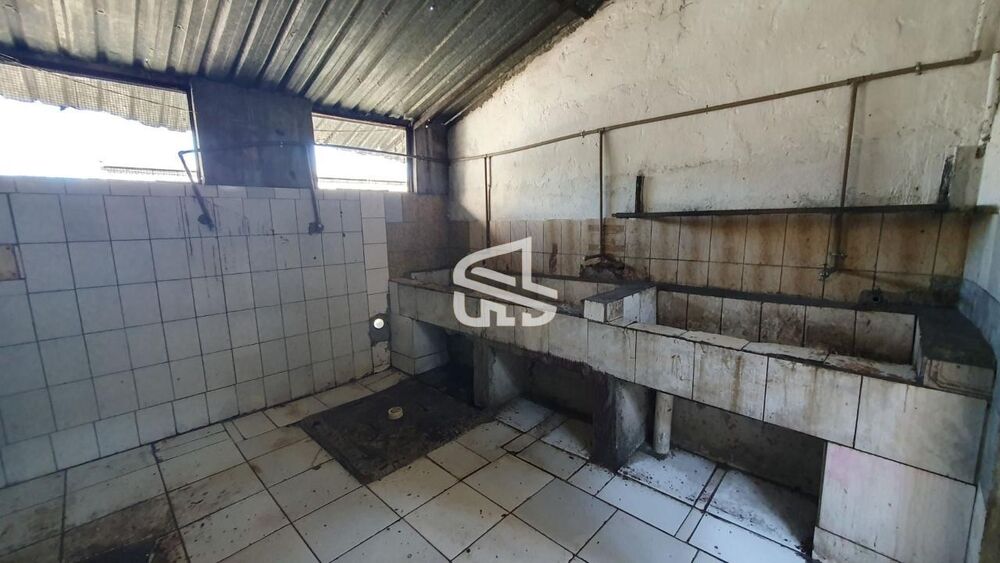 Depósito-Galpão, 2390 m² - Foto 15