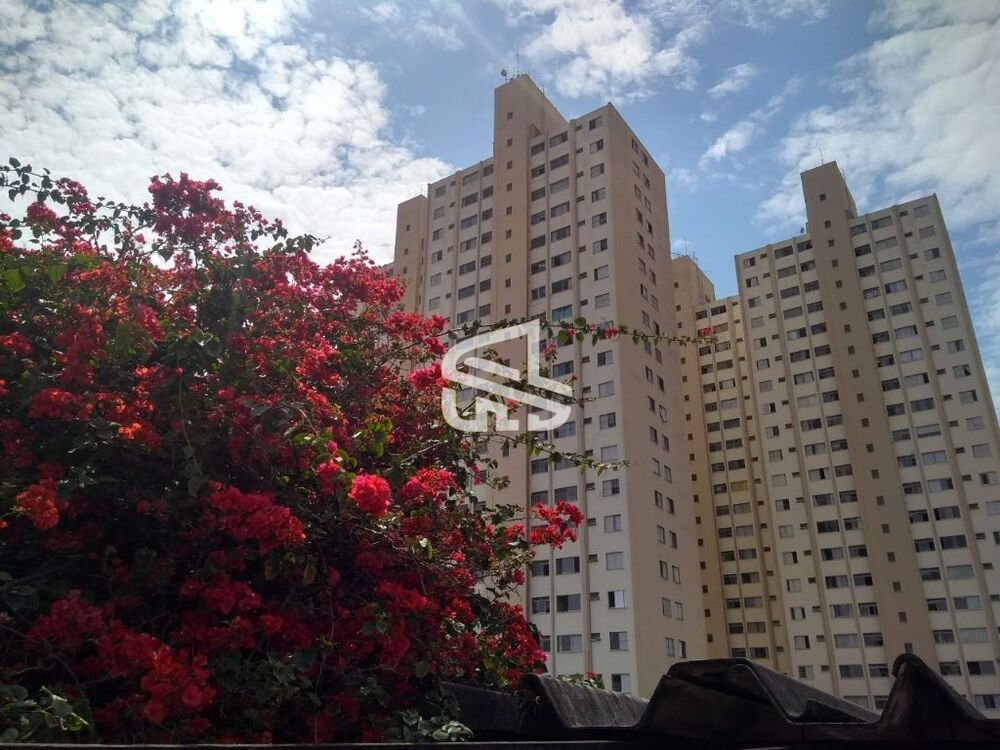 Apartamento, 60 m² - Foto 8