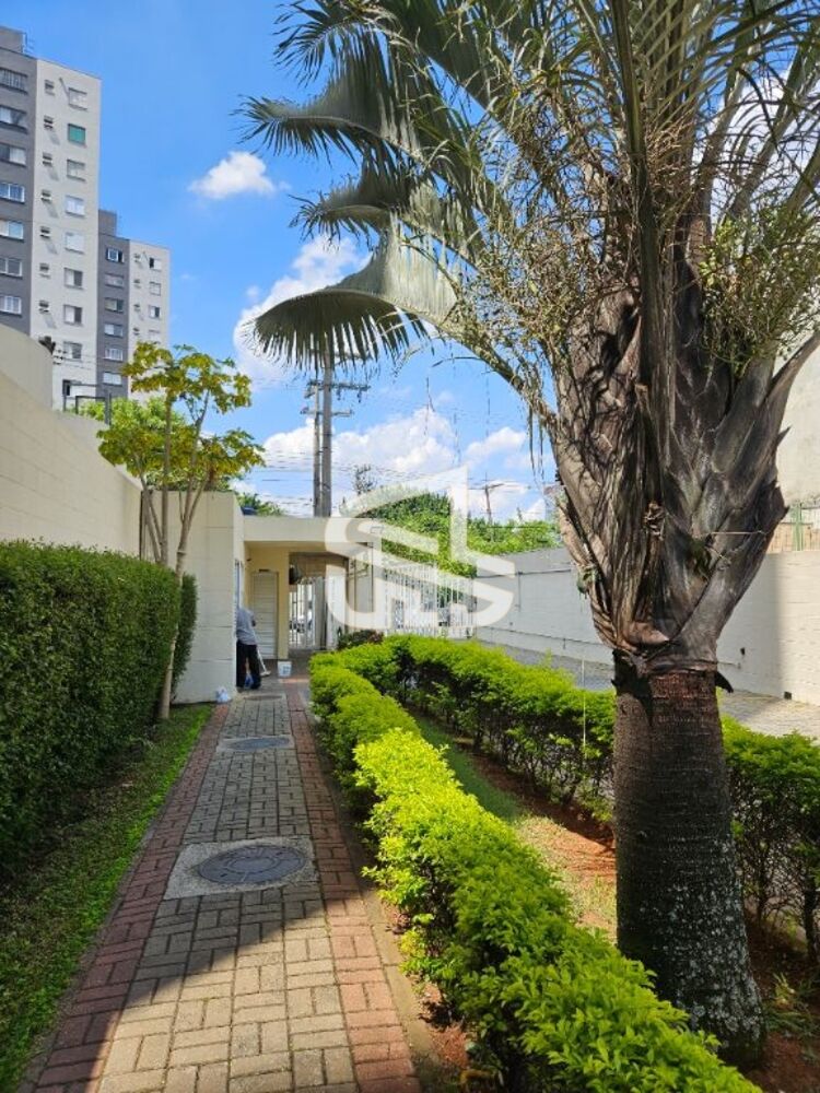 Apartamento para alugar com 2 quartos, 43m² - Foto 30