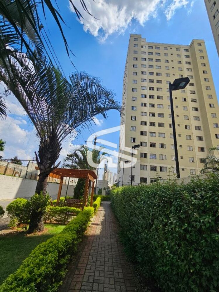 Apartamento para alugar com 2 quartos, 43m² - Foto 29